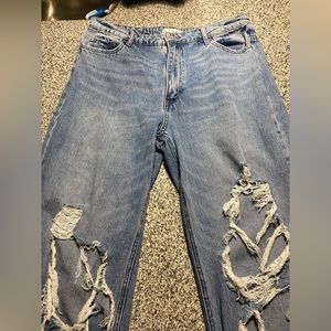 Vervet Distressed Dad Jean